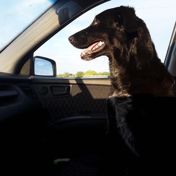 Meet your Posher, Eric - Picture 1 of 1